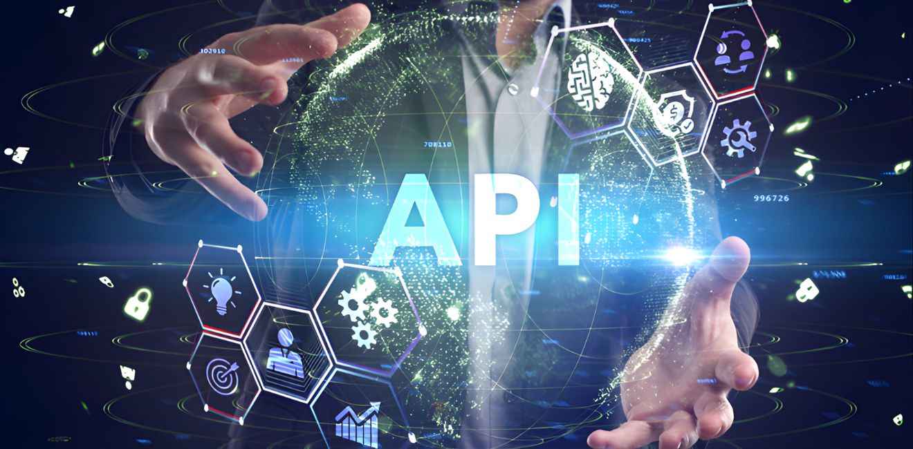 Data & API Subscriptions